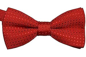 HEYPET Fliege mit Halsband für kleine Katzen und Hunde, verstellbar, für Hochzeit, Geburtstag, D-D-T-1, Rot mit roten Punkten