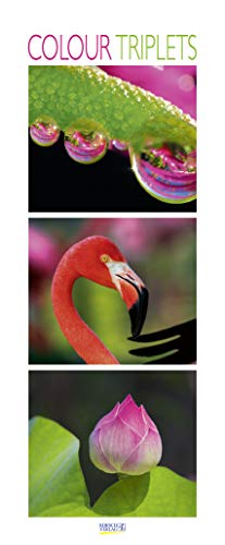 Colour Triplets 2020: Schmaler Wandkalender. Foto-Kunstkalender mit farblich abgestimmten Bildern. PhotoArt Vertikal. 28,5 x 69 cm. Edles Foliendeckblatt.