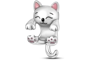 QIKAOLA Koraliki charms ze srebra wysokiej próby 925 do bransoletek Pandora, naszyjników, wisiorków, kompatybilne z europejskimi bransoletkami i łańcuszkami, dla kobiet i dziewcząt