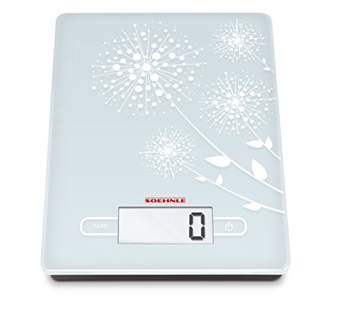 Soehnle 65115 Digitale Küchenwaage Frosted & Frozen - 4
