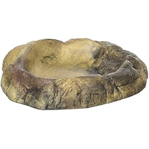 Jungle Bob 7205Stein Wasser Schüssel, mittel