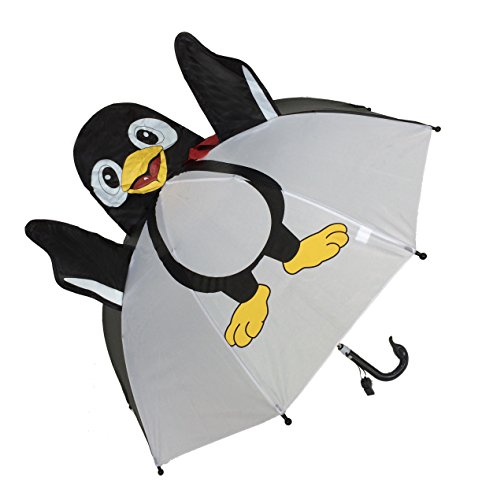 « Click to Enlarge and to go to Amazon »