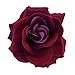 Price comparison product image Dark Red Burgundy Large Clip On Flamenco Gothic Day Of Dead Hair Rose Flower