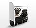 Produktbild Design Briefkasten Mops Fashion | Hunde Welpen Haustiere Tier Mode, Postkasten mit Zeitungsrolle, Wandbriefkasten, Mailbox, Letterbox, Briefkastenanlage, Dekorfolie