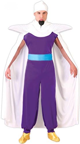 Genius Mage Adult Costume
