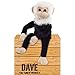 Dave The Funky Monkey Plush Toy