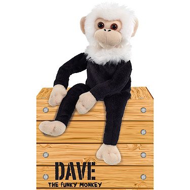 Dave The Funky Monkey Plush Toy