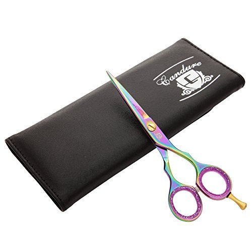 Professional Hairdressing Scissors 5.5 inch, Multi Titanium + Case