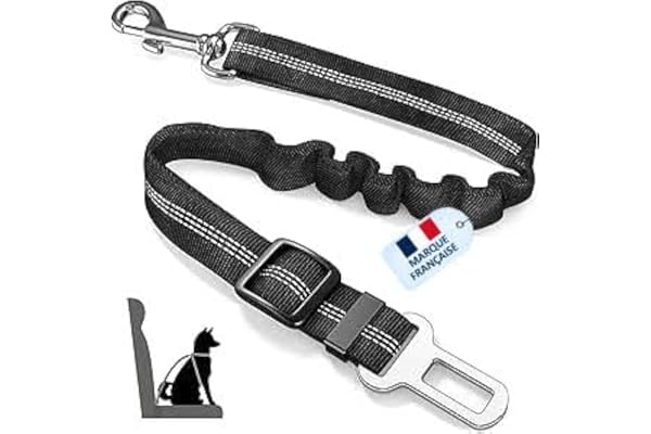 MARKETIFAR Ceinture Chien Voiture - Harnais Voiture pour Chien - Ceinture de sécurité pour Chien Noir - Laisse pour Voiture avec Absorption de Chocs - Accessoire pour Chats et Chiens