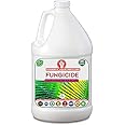 Erwon® Fungus Remover, Essential Powerful Organic Liquid for removing all types of Fungus From Plants (1000 ml)