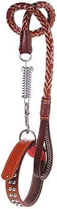 LOVPE Leather Mushroom Nail Dog Collar, Woven Leash Lead,For Spring Steel Chain Buckle, Medium & Large dogs, Running, Walking, Hiking, [Collar adjustment range 21-26.3 inch] (Red Brown)
