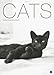 Cats Edition 2015 by 