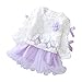 Produktbild Hirolan Herbst Kinder Mädchen Party Spitze Tutu Prinzessin Kleid Säugling Baby Kleider Outfits (100cm, Lila)