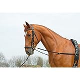 Busse Ausbindezügel BASIC-ELASTIK, Warmblut, schwarz/NP