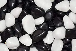 OhhSome Polished White & Black Mix Colour Natural Pebbles Multi Purpose Glossy Decorative Stone for Decoration Home [500Gm]