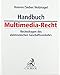 Produktbild Handbuch Multimedia Recht (ohne Fortsetzungsnotierung). Inkl. 47. Ergänzungslieferung: Rechtsfragen des elektronischen Geschäftsverkehrs