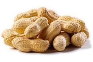 BUCKTONS Chubby Peanuts in Shells 12.5 kilogram, Monkey Nuts For Wild Birds & Squirrels, Natural Peanuts for Wild Birds Food, Peanuts in Shells for Squirrels