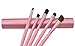 niceeshop(TM) 5Pcs Professional Eyeshadow Brushes Set Kit Eye Makeup Tool with Round Tube Case,Roseo