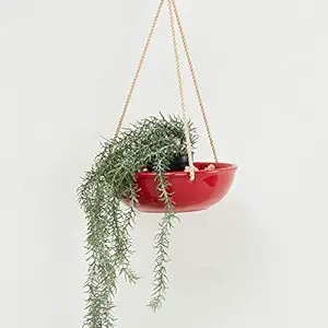 Home Centre Valencia Hanging Planter