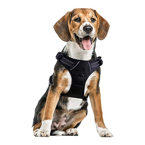 Eagloo Arnes de Perro Antitirones Cómodo Chaleco Ajustable Correa al Cuello y Pecho para Perros Pequeños Material Duradero Transpirable con Cinta Reflectante Adaptarse a Ejercer Externo S/Negro