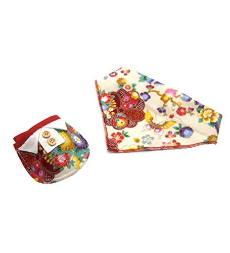 DOWE 2Pcs Bandana Foulard & Bavoir pour Les Animaux, Petit Chien, Chat (XS, Red Flower)