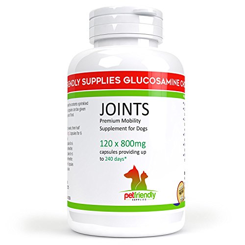 Haute Qualité pour chien Rotule Complément, meilleure Glucosamine pour chiens avec chondroïtine & MSM, Vitamine C, acide hyaluronique, arthrite analgésique Relief naturel - 120 capsules
