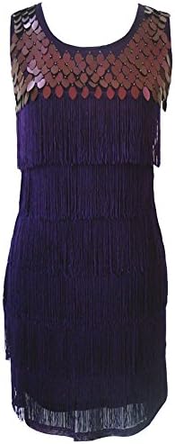 Izacu Flocc Women 1920 Layered Fringe Tassel Flapper Charleston Dress (X-Small/Small, purple)