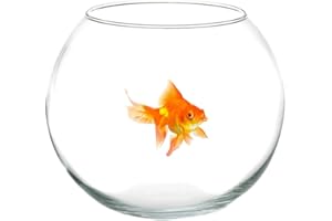 OISE ART STORE - TRADE SHOP Trade Shop - Ampolla Boccia per Pesci in Vetro 12 Cm Acquario Pesce Rosso Centrotavola