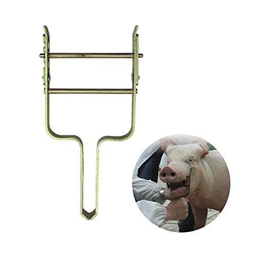 Bovine Open Mouth Pliers Metal Pig And Sheep Open Mouth Feeding Tool Veterinary Medicine Gastric Lavage Equipment,Forpigsandsheep
