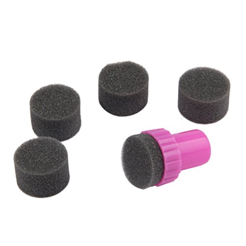 LHWY Nail art Sponge Gradual Change Stamper Polish Stamping Manicure Tool