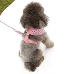 UEETEK-Motivi-floreali-piccoli-piccolo-cane-cinturino-pettorale-con-guinzaglio-piombo-taglia-M-rosa