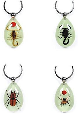 szwanhuixing Personalized key buckle insect amber key button - scorpion