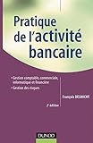 Image de Pratique de l'activité bancaire - 2ème édition: Gestion comptable, commerciale, informatique et financière - Gestion des risques