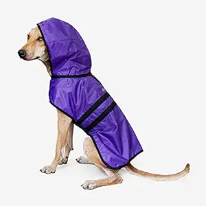 That Dog In Tuxedo Raincoat for Dogs - Double Layered with Hoodie (Blue, Size 26)