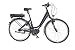 Produktbild Fischer E-Bike KOMFORT ECU 1760 mit gefederter Sattelstütze und Memofoam-Sattel, Mittelmotor 48 V/557 Wh Powered by BAFANG
