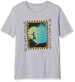 Camiseta para chicos 8-16 Quiksilver Ka Riding Camiseta de Manga Corta, Niños, Gris (Light Grey Heather), L