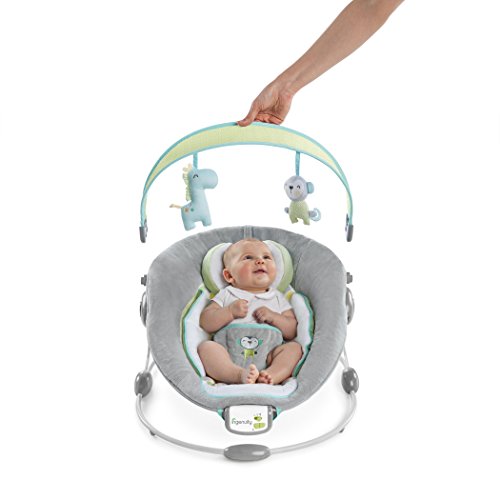 Ingenuity 60389 Soothe and Delight Bouncer – Savvy Safari - 4