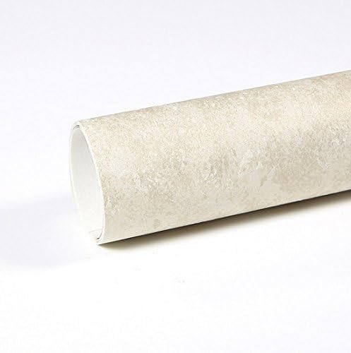 Selens 50x50cm Photogarphy Retro Vintage Concrete Cement Texture Background Backdrops (Cream White)