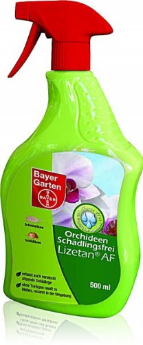 Bayer Schädlingsbekämpfung Orchideen-Schädlingsfrei Lizetan AF, 500 ml, mehrfarbig