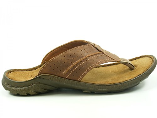 « Click to Enlarge and to go to Amazon »