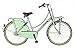 Produktbild 26 Zoll Popal Daily Dutch Basic+ TR26N3 Damen Holland Fahrrad 3 Gang, Farbe:Pistazie