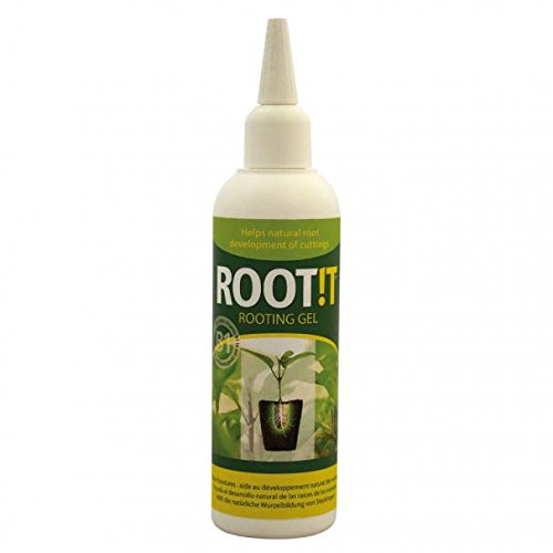 Root! t Gel4Plugs-gel per la propagazione
