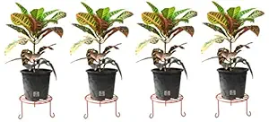 Erbanize Beautiful Red Iron Plant Stand/Planter Stand/Flower Pot Stand/Plant Holder Gamla Stand for Home, Office, Balcony, Garden, Living Room. Color -Red, Set of 04 Pcs