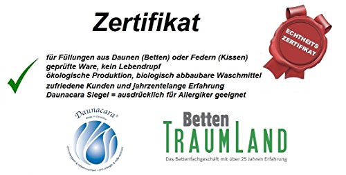 Revita Daunenkissen PLUS Kopfkissen 100 % canada Daune ohne Federnanteil 40×80 cm | PLUS = 50 Gramm mehr Inhalt, als das klassische Revita Kissen! - 2