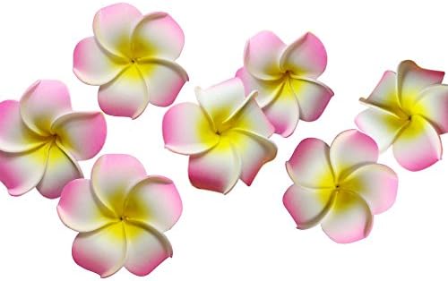 OneCreation 4cm Plumeria Hawaiian Foam Frangipani Flowers-Wedding Party Decoration Vacation Home Dector DIY (100pcs-Pink)