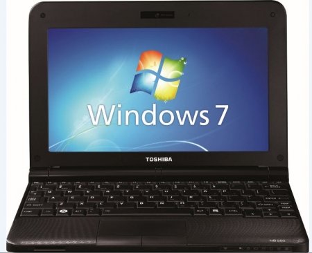 Toshiba NB250 10 1  Intel Atom 2 GB Ram 80 GB HDD Webcam WIFI Windows 7
