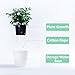 Mkouo 3 Pack Self Watering Plant Pots Indoor Outdoor White Plastic Flower Planter, M