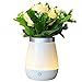 Produktbild KYG LED Dimmbar Vase-Lampe Nachtlicht mit Touch Schalter 3 Helligkeitsmodi Touch Sensor USB Aufladbar 350ml Wasser Kapazität Blume-Nachttischlampe Warmweiß für Schlafzimmer, Raumdekoration Shop, Büro usw.