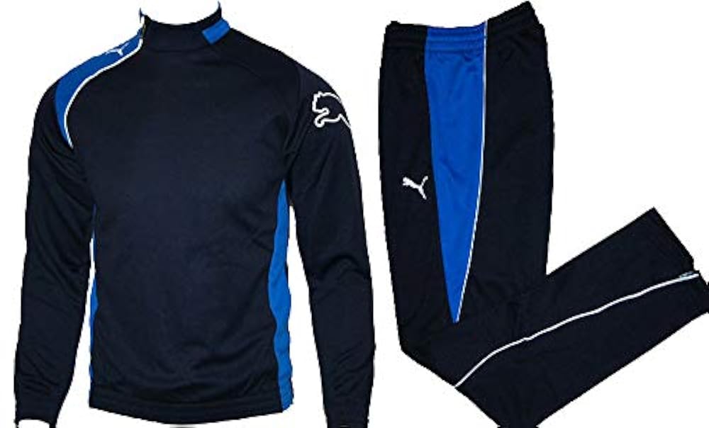 Мужской тренировочный костюм. Тренировочный костюм Пума ФК Динамо. Костюм спортивный Reborn r110 0050 Training Suit. Тренировочный костюм ray. Sportanzug.