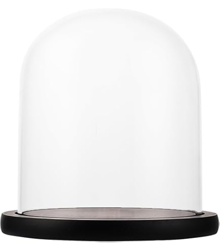 ATMOSPHERA Cloche In Vetro E Legno – Campana Decorativa H 29,5 Cm, Base In Legno Naturale